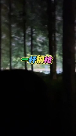 预览图4