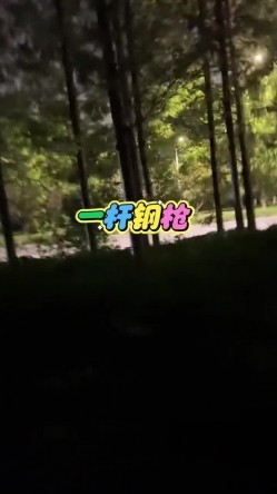 预览图5