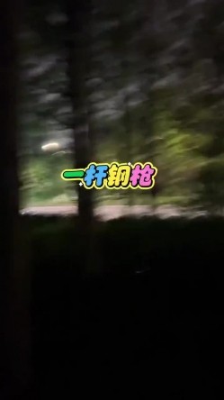 预览图6