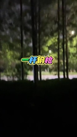 预览图11