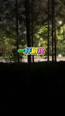 预览图12
