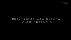 预览图10