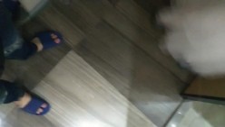 预览图10