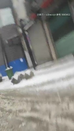 预览图8