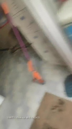 预览图10