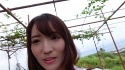 预览图16