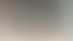 预览图4