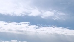预览图13