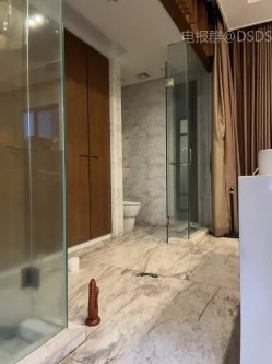 预览图5