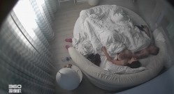 预览图4