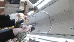 预览图11