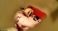 预览图6