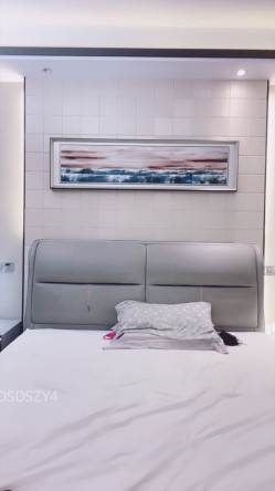 预览图6