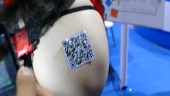 预览图14