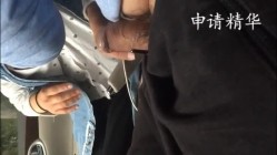 预览图4