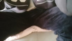 预览图1