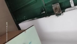 预览图4