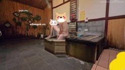 预览图5