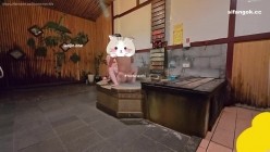 预览图7