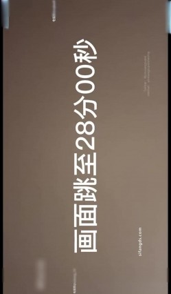 预览图15