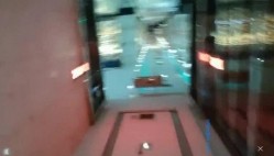 预览图4