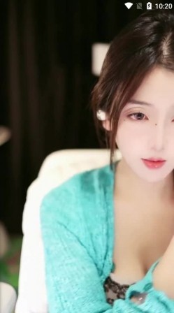 预览图4