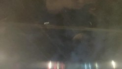 预览图14