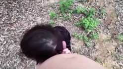 预览图4