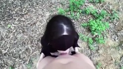预览图5