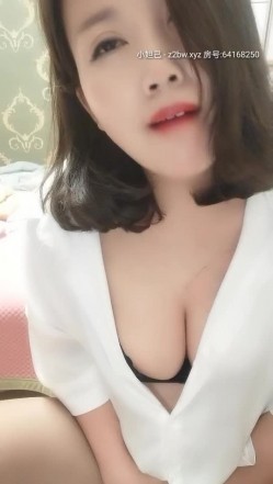 预览图6