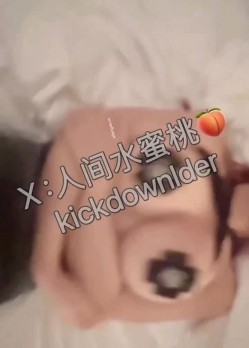 预览图13