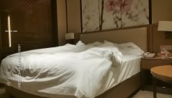 预览图6