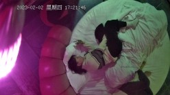 预览图5