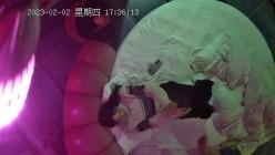 预览图10
