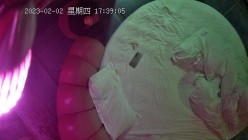 预览图11