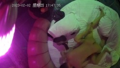 预览图14