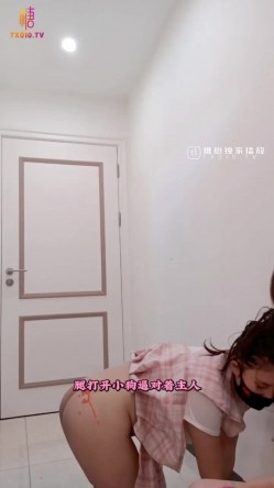 预览图13