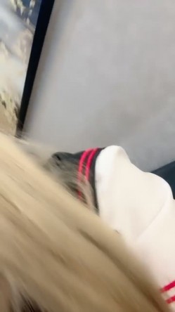 预览图13