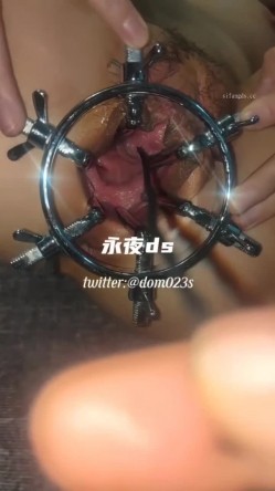 预览图12