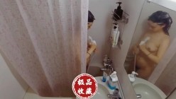 预览图4