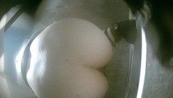 预览图4