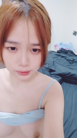 预览图4