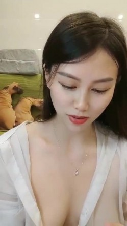 预览图4