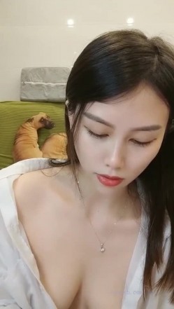 预览图8