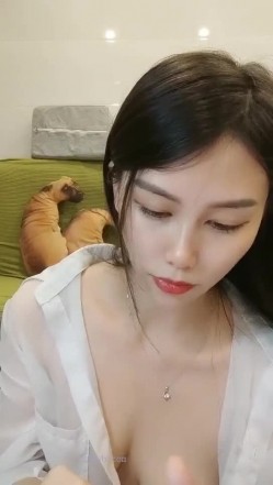 预览图11