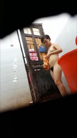 预览图14