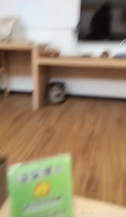 预览图2