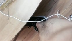 预览图10