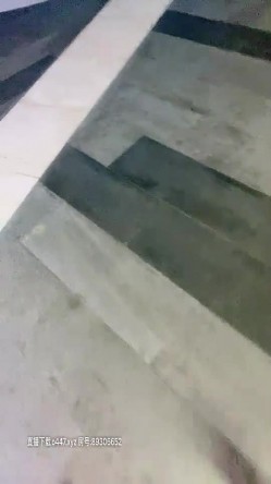 预览图3