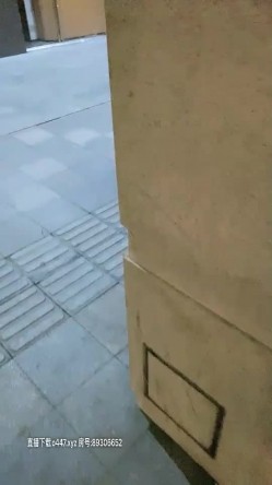 预览图4